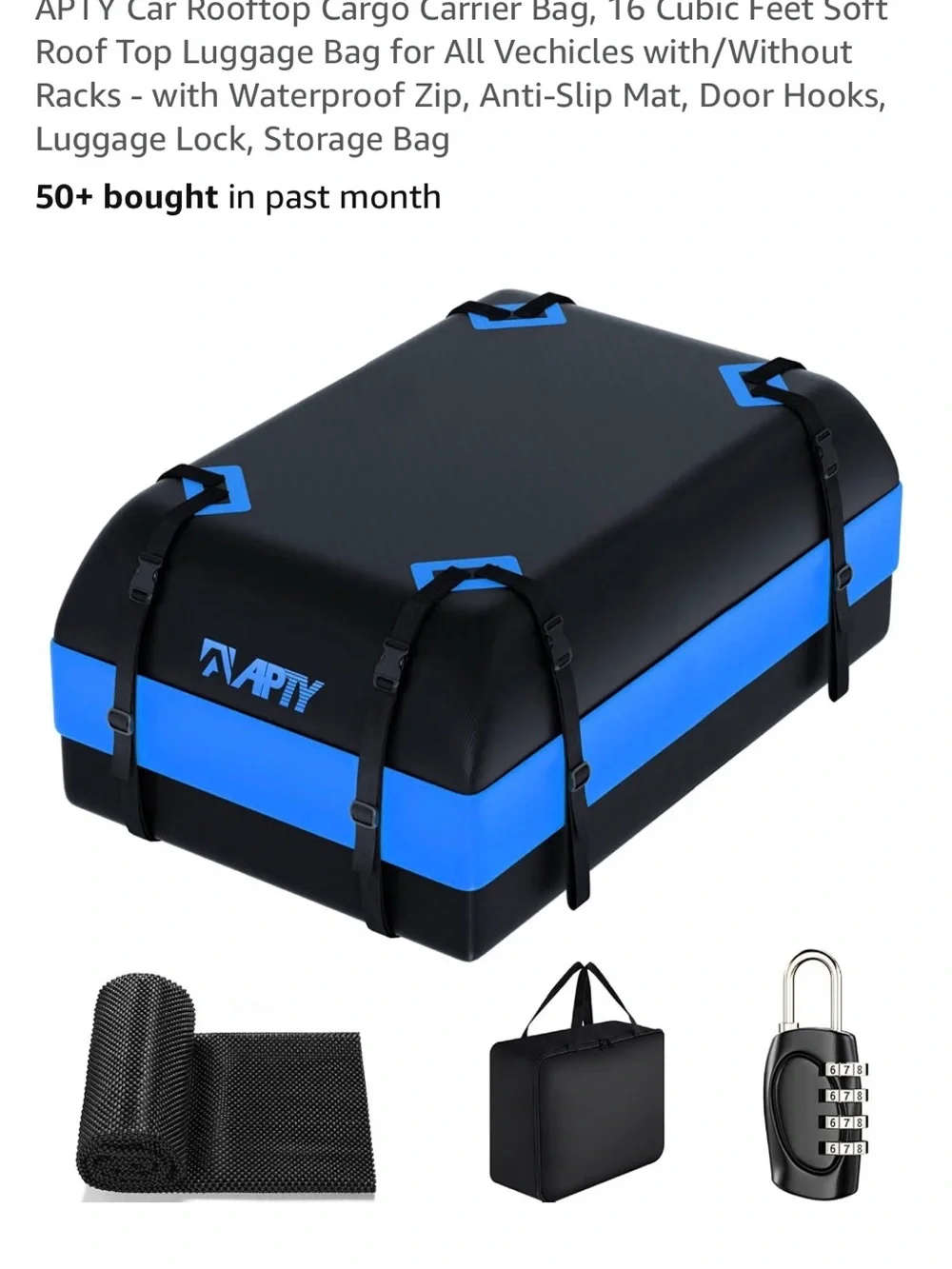 Black and Blue Rooftop Cargo Carrier - Weather-Resistant Storage Bag